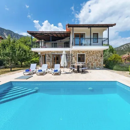 Gelincik * Kalkan