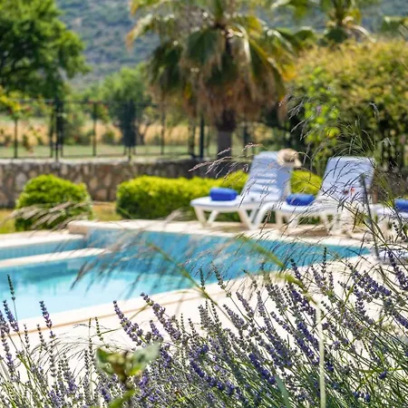 Gelincik Kalkan